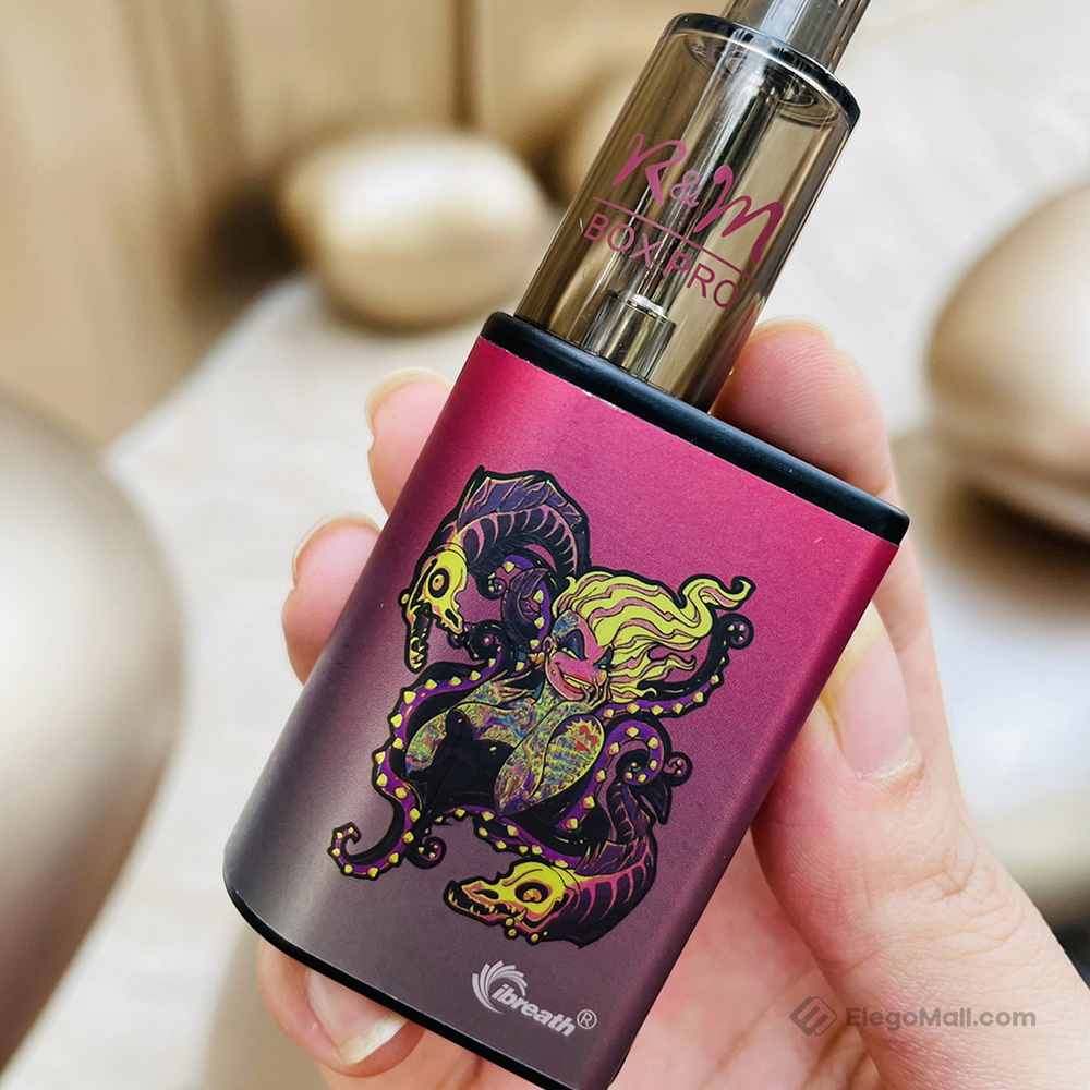 R&M Box Pro Disposable Kit 550mAh